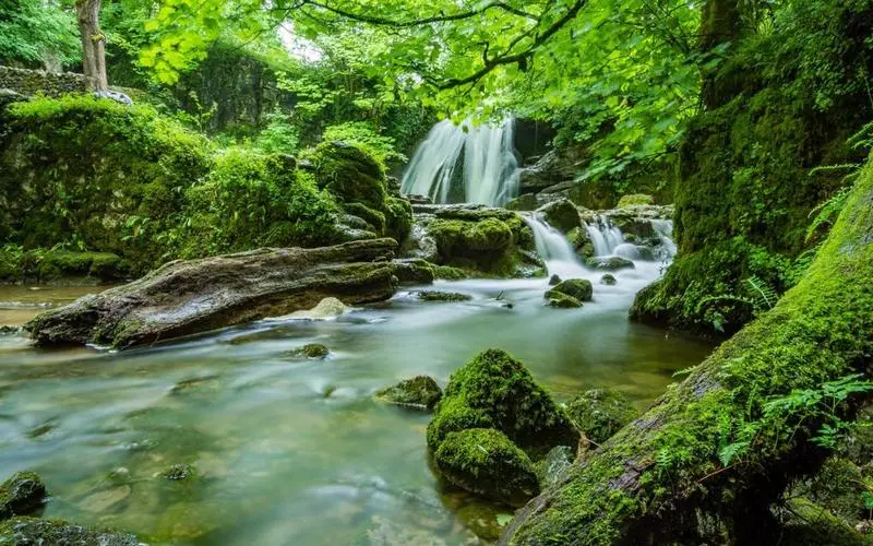 高效精密电子